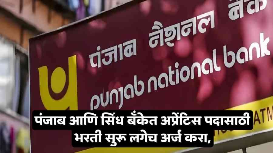 Punjab Bank Apprentice Recruitment 2025