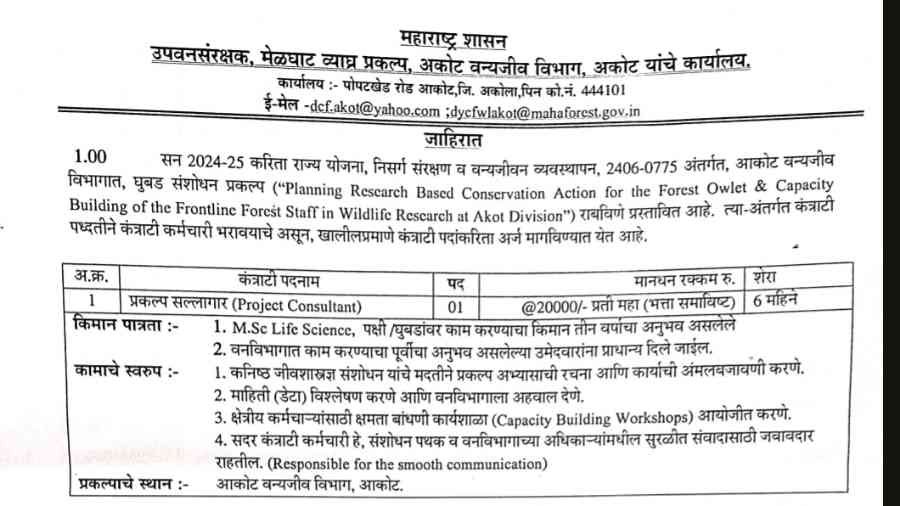 MSRTC BHARTI 2025